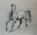 Michael Hensley Creatures, Equine 14